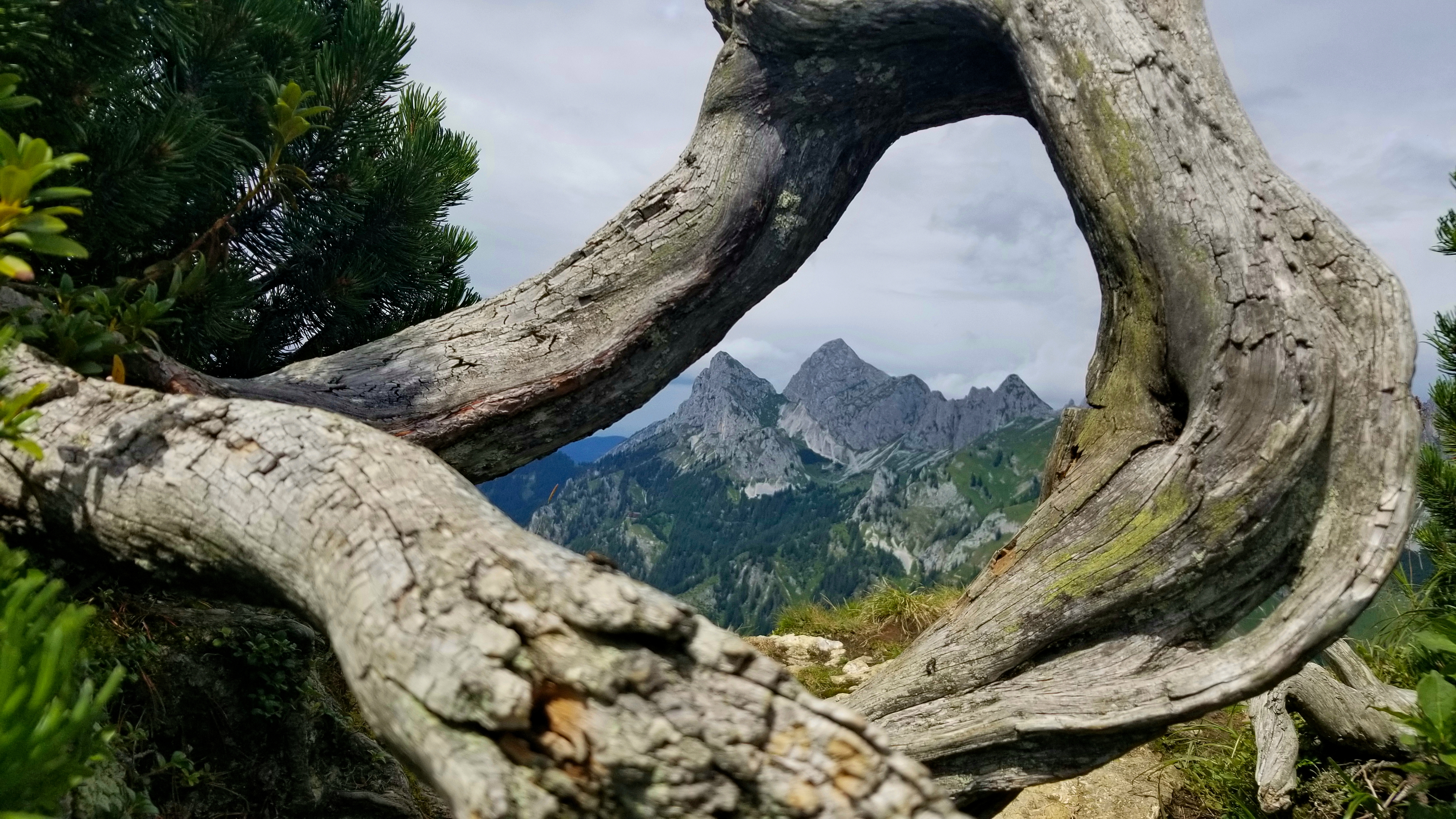 Framed Mountain in the Austrian Alps